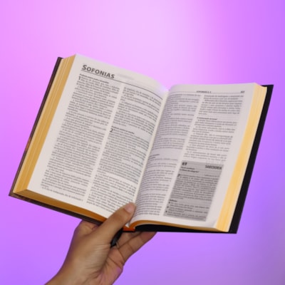 image_cf9c50cf-8527-4932-ac75-03ab0a6dcd11