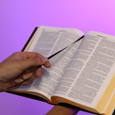 image_61fb9111-9f2b-4d66-b278-2f302a1e3521