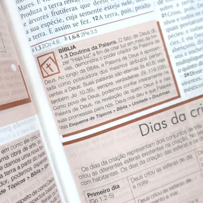 image_9f47be7c-bf0a-45e8-b6f0-f12c7ce19a86