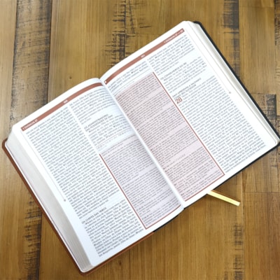 image_654c7fe0-f46b-41e2-b8a2-5706805e7ede