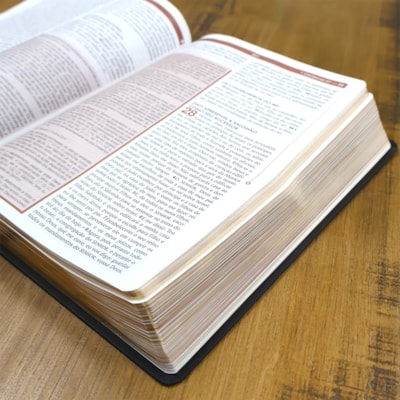 image_1271e5f1-db4a-4a03-9fda-83536353f77d