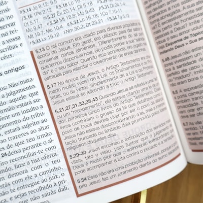 image_597a4c3f-00ef-4dd4-a158-134501ad6e23