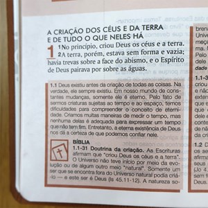 Bíblia de Estudo Esquematizada | ARC | Letra Normal | Capa Luxo Marrom