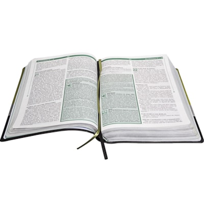 image_9ccce121-8de7-4110-b0ec-8b8ce1ad4165