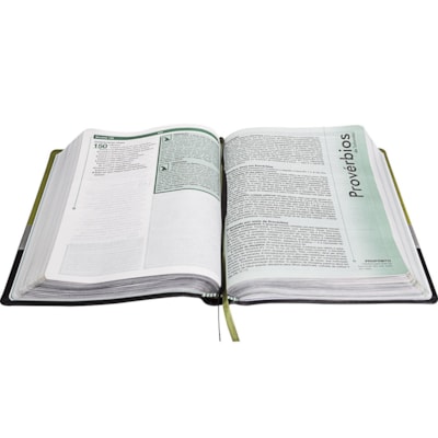 image_1814b2c6-bc8b-4145-a4a9-e6f4c28e77cd