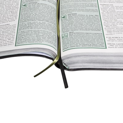 image_14dc7c6a-4809-4305-aae5-8361a6d15d24