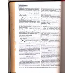 Bíblia de Estudo Explicada | ARC | Dicionário | Capa Preta Forro