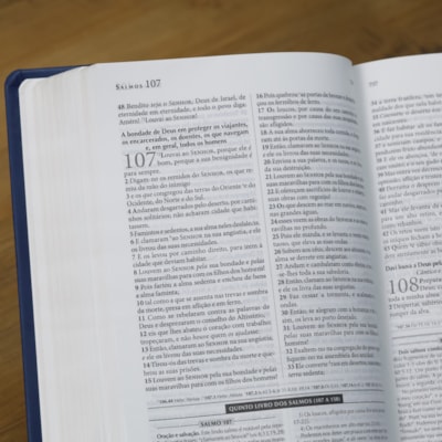 image_d9fb61dc-6276-4c86-8ade-c0eb50ac7412