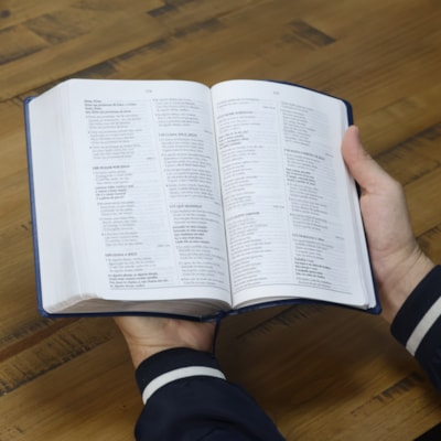 image_804bc3a5-a129-4380-9d6b-2dec928229db