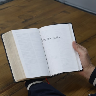 image_8782b800-e123-42c5-a8cb-81b50f5b24ad