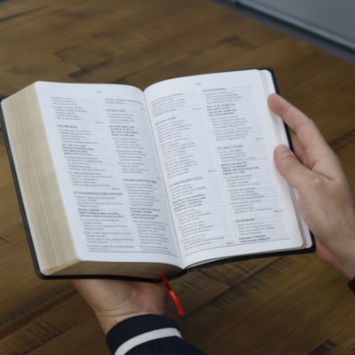 image_3462394a-120c-4a9c-b103-4a683ac6cbe2