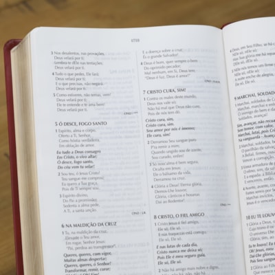 image_9317edfa-41a6-4032-b1a6-bc34f2a5d3e4