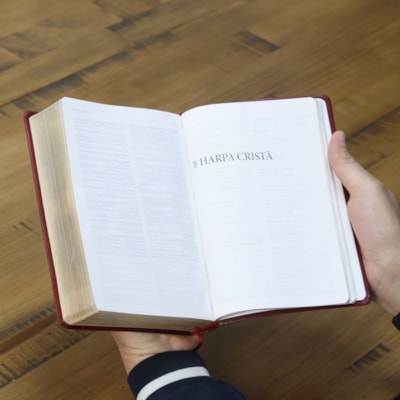 image_a01a01e6-deba-47d9-9005-6fcb37df275e