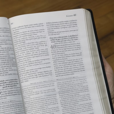 image_a78083ac-45e2-47a2-9d61-305471af3133