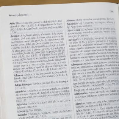 image_17476a99-ec82-4b24-a5fe-a26f39b070a1