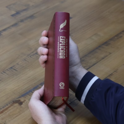 image_fd216019-c96c-46a6-8edb-ee1691a407bb