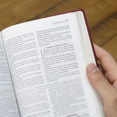 image_05d877e3-e2fd-435c-a424-5210ecfbb354