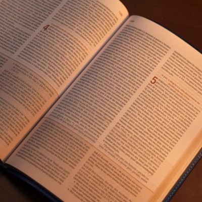 image_2d94f001-cf19-4580-aedd-9135a39594d1