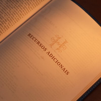 image_b3aacaa4-6216-4ac7-b1e2-5080fcf8f44a