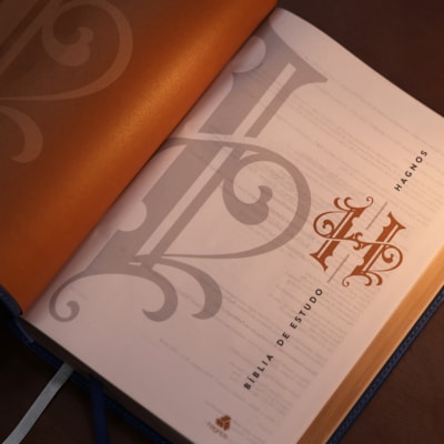 image_c91a615e-a4f1-45e4-9cb6-62e957e6ede0