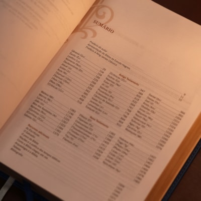 image_efc43093-91a8-4330-9f2e-26421fe4c280