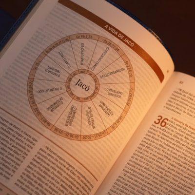 image_41ed3b1f-8a30-4c82-a9aa-799fde11b810