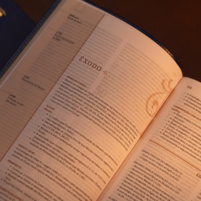 image_12c8aa9e-34ce-4586-9c72-da62fe1ed9a3