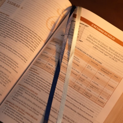 image_3e9d605f-9f49-4358-b965-6df53bf51621