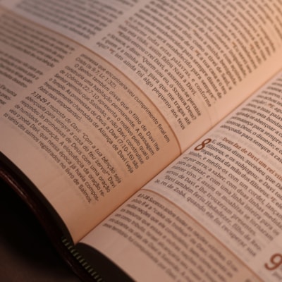 image_d2cec6ab-203c-424a-a423-86c30a2ae72b