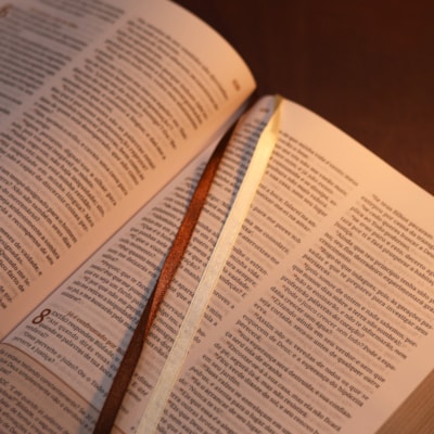 image_6d5fa3a5-89c3-41c9-b73f-7639c4646875