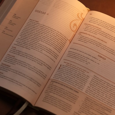 image_f526df87-cda9-498c-8e56-b9ff628e5c9e