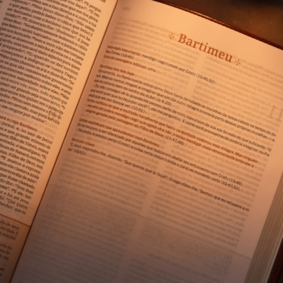 image_7b4304b6-fddf-49f5-be47-b2a4585b292e