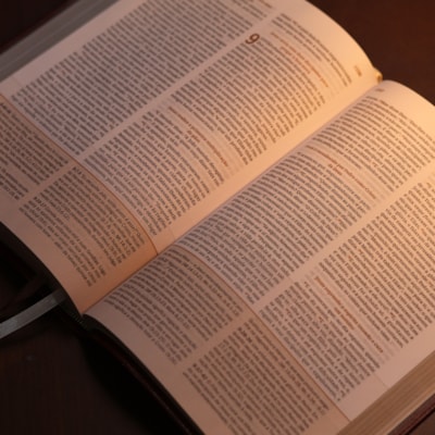 image_325952dd-f874-4f2d-891e-87906bfd9030