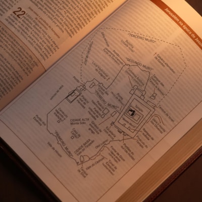 image_48318a21-c8e8-450f-8544-03c51b996e9d