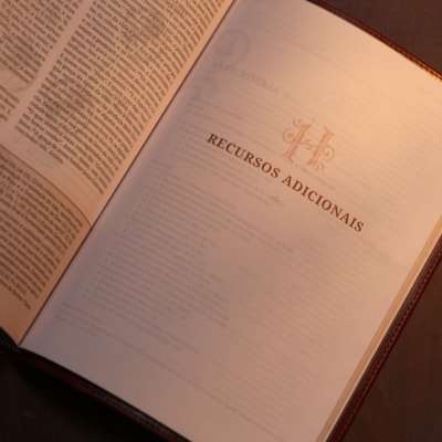 image_3068191d-b347-467c-a6a0-c276e9fa1da9