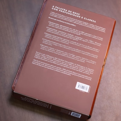 image_9208338b-e749-44c5-8f01-4456bc849495