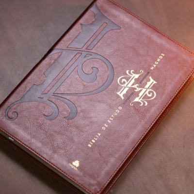 image_fa37d934-70d4-4e7b-b5c1-799347ec9fca