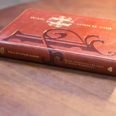 image_09a7e02a-950f-41af-90dc-ab8d92d1e64e