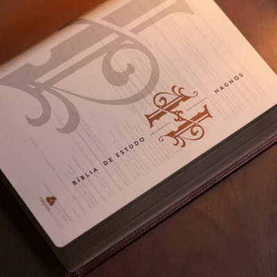 image_4f691bc0-cf00-4982-a663-9a89ee5ee2e6