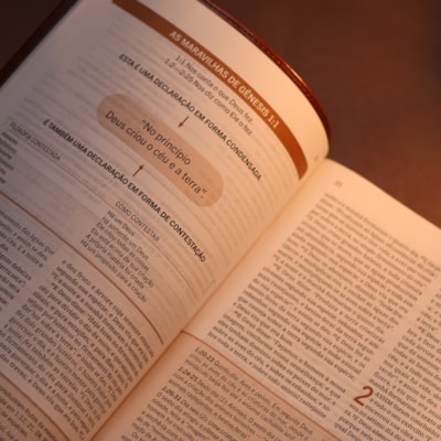 image_551419fe-d272-4a6c-80c8-3267496c126c