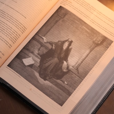 image_32123fdc-932a-41a4-82e3-8de4f528377f