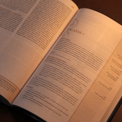 image_31d224ad-bee1-4a06-b012-316738436d24