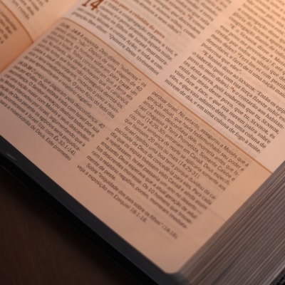 image_eb9bd38d-0722-4bb0-9575-fad87896046c