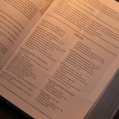 image_18746fcd-964b-4b38-8af0-a647b0faab50