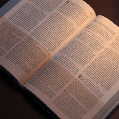 image_39b868c6-063c-4e27-8a85-14d5dbd16e81