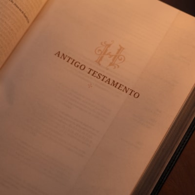 image_8dabfdad-9927-4447-b0f4-7bd884f11fe7