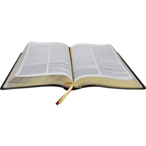 Bíblia de Estudo Herança Reformada | ARA | Capa Preta
