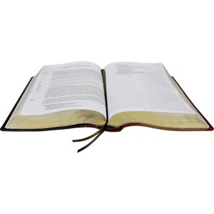 Bíblia de Estudo Herança Reformada | Letra Normal | ARA | Capa Couro e Marrom