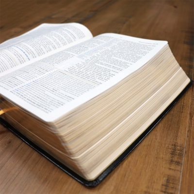 image_edef16ca-7296-4241-8676-1f7bfc5c26a6