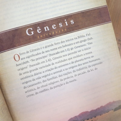 image_5d689b96-6be3-4d08-9282-c48e5f48882b